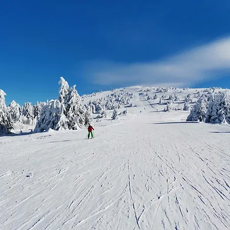 Apartamento Dux - Milmari, Kopaonik